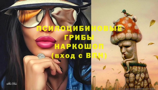 спайс Новозыбков