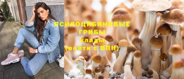 спайс Новозыбков