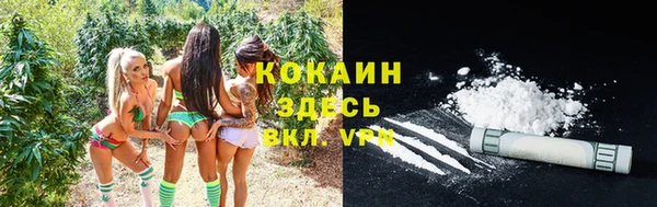 спайс Новозыбков
