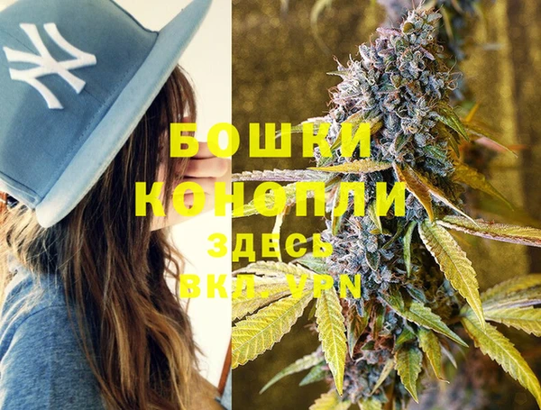каннабис Новокубанск