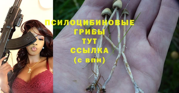 спайс Новозыбков